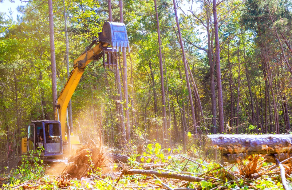 Land Clearing Flowery Branch GA